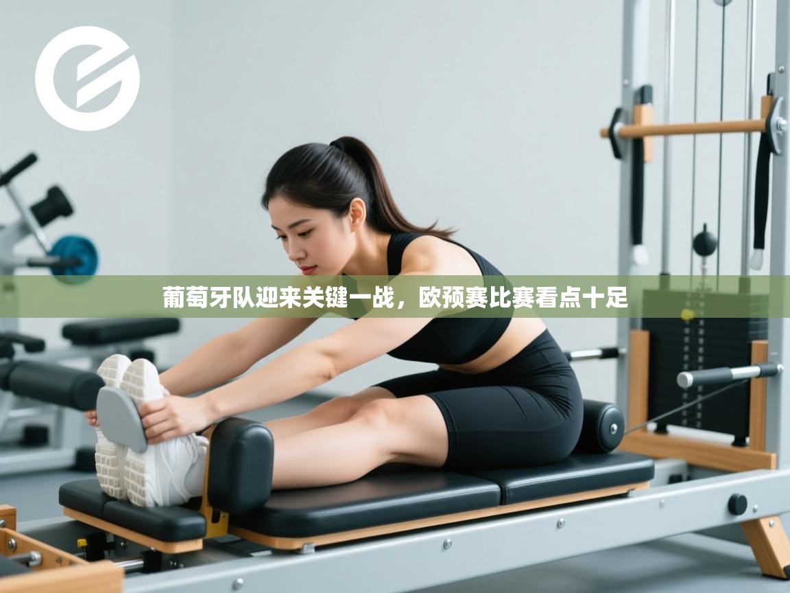 葡萄牙队迎来关键一战，欧预赛比赛看点十足  第1张