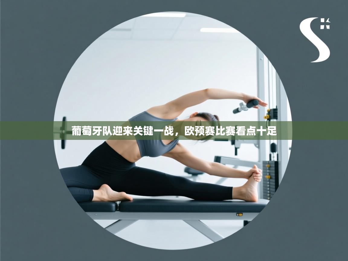 葡萄牙队迎来关键一战，欧预赛比赛看点十足  第2张