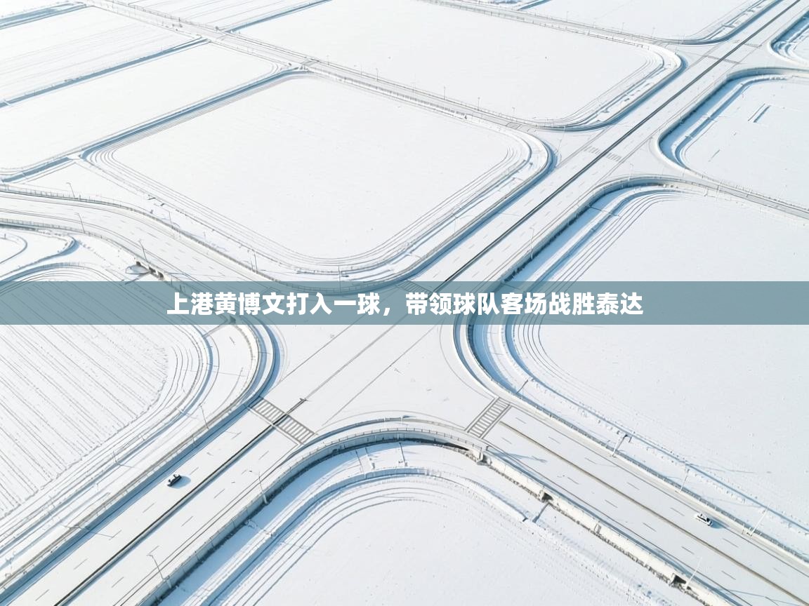 上港黄博文打入一球，带领球队客场战胜泰达  第1张