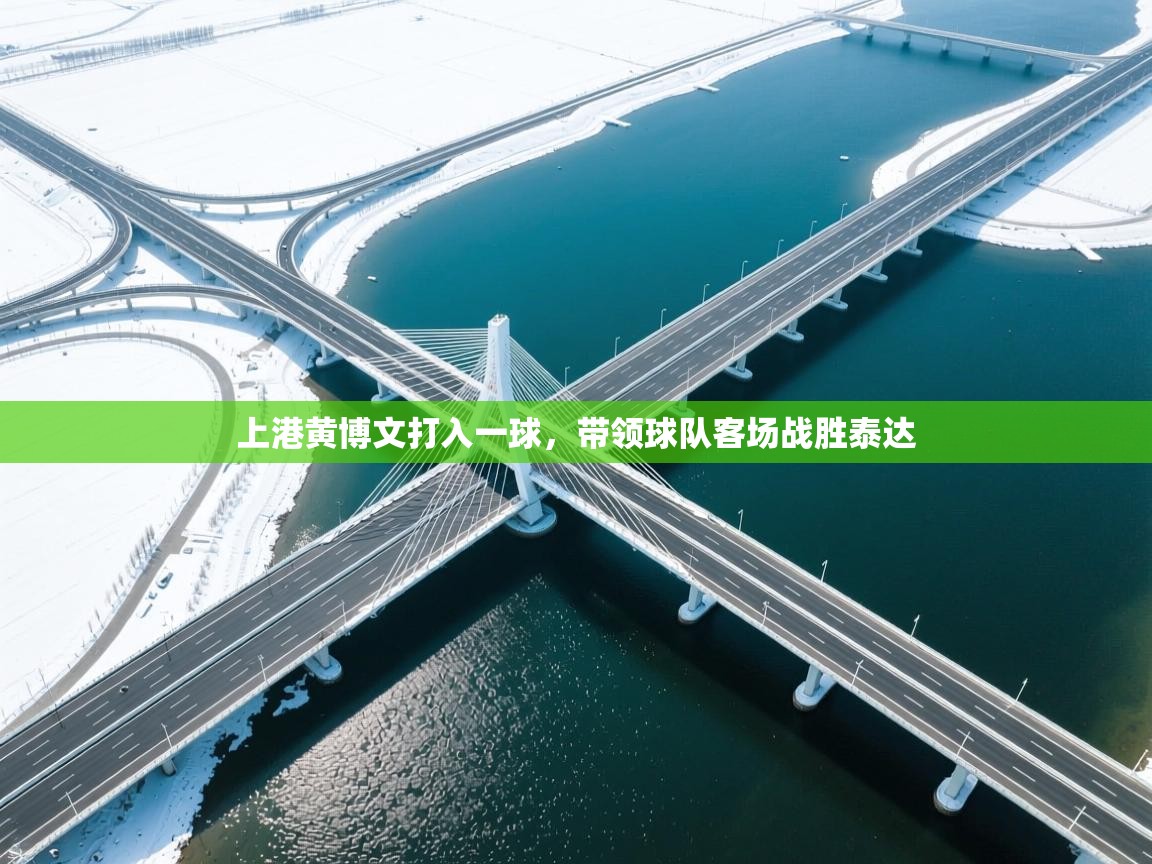 上港黄博文打入一球，带领球队客场战胜泰达  第2张