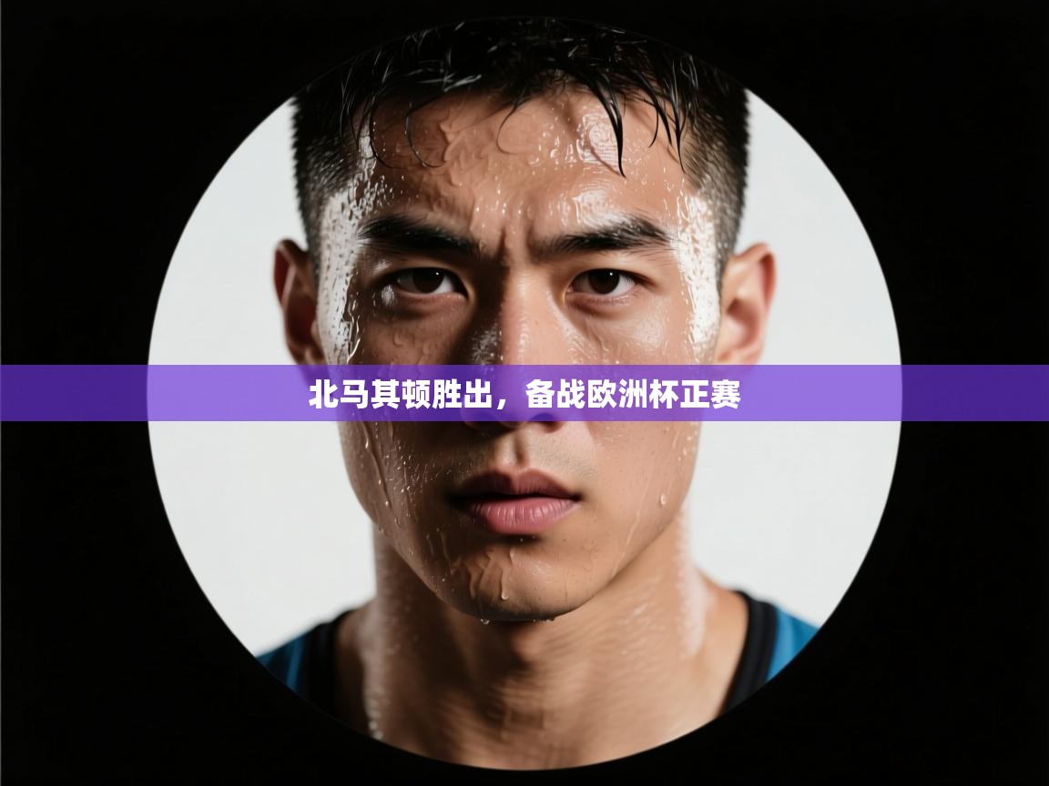 北马其顿胜出,备战欧洲杯正赛 第1张