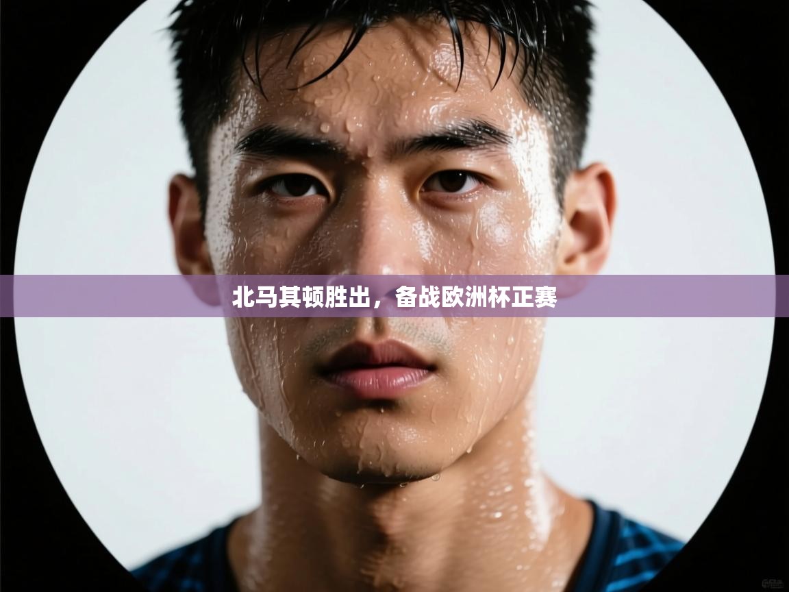 北马其顿胜出,备战欧洲杯正赛 第2张