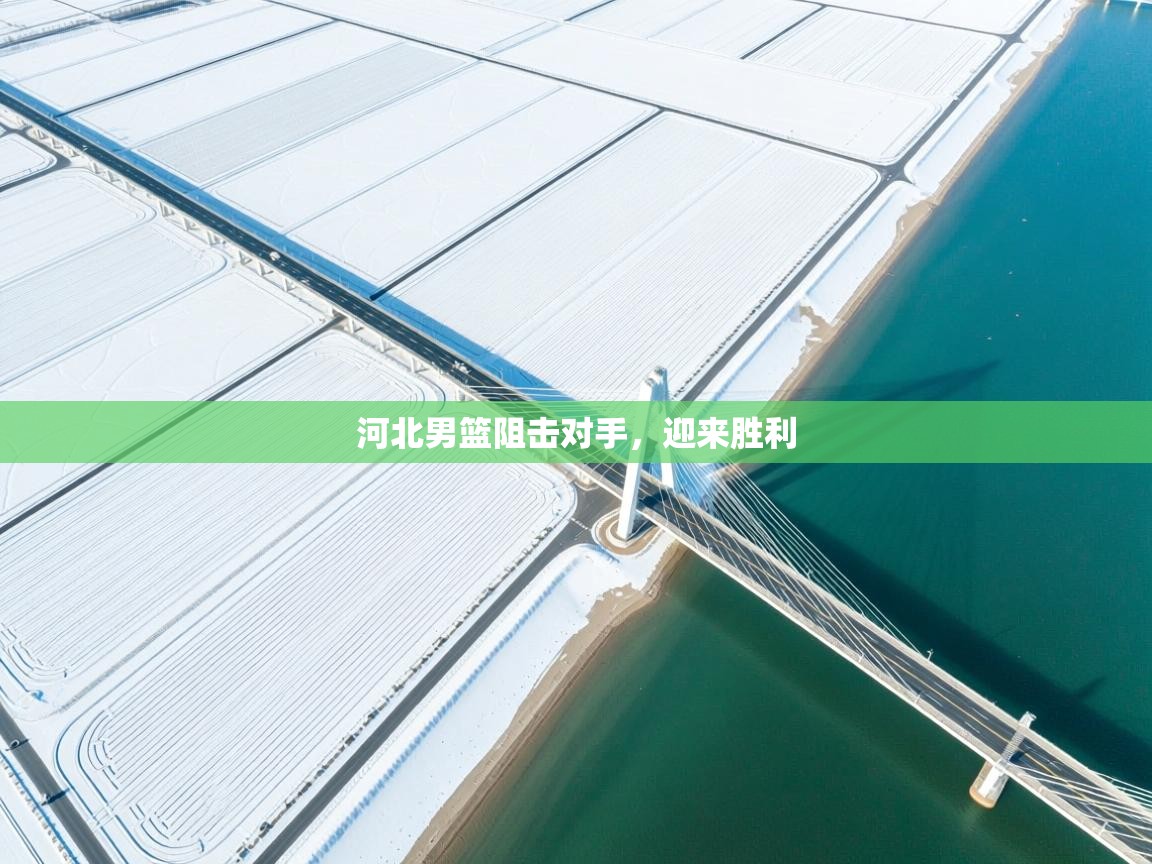 河北男篮阻击对手，迎来胜利  第1张