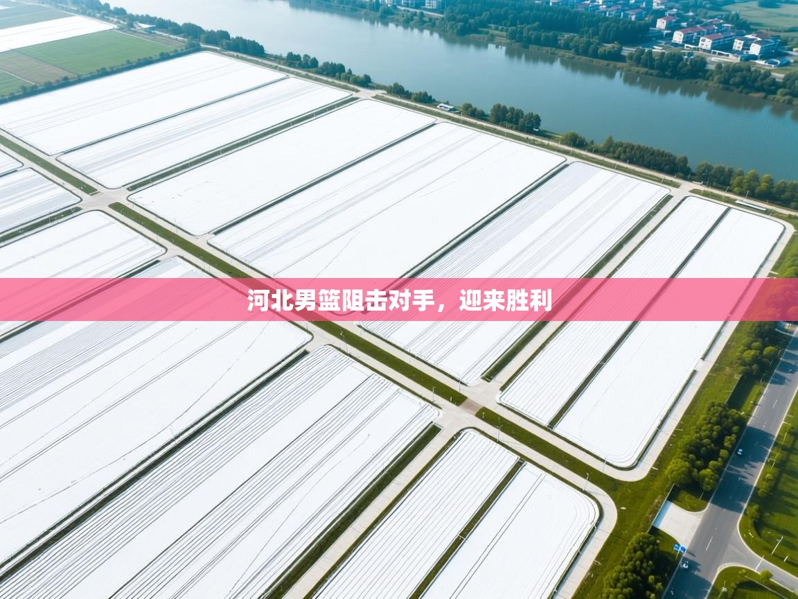 河北男篮阻击对手，迎来胜利  第2张